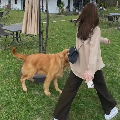 吸血姬美夕